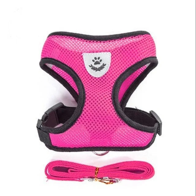 Tailora™ Breathable Mesh Harness & Leash Set