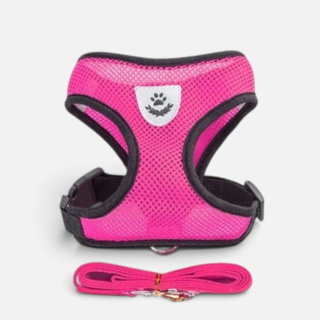 Tailora pink breathable air-mesh step-in harness and matching leash set for small dogs and cats