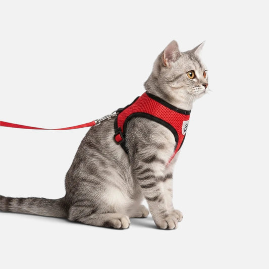 Tailora red breathable mesh step-in harness and matching leash worn by a grey tabby cat on a light background