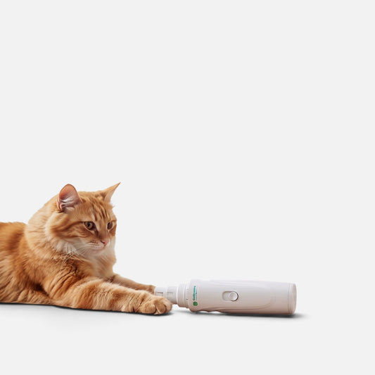 Tailora USB rechargeable pet nail grinder with a quiet motor being used on an orange cat's paw
