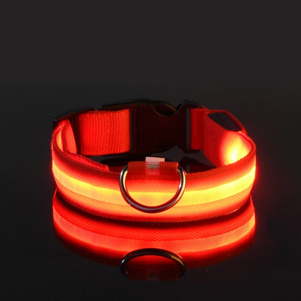 Tailora™ LED Night Safety Glow Leash