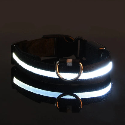 Tailora™ LED Night Safety Glow Leash