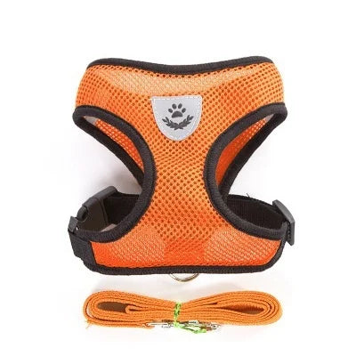 Tailora™ Breathable Mesh Harness & Leash Set