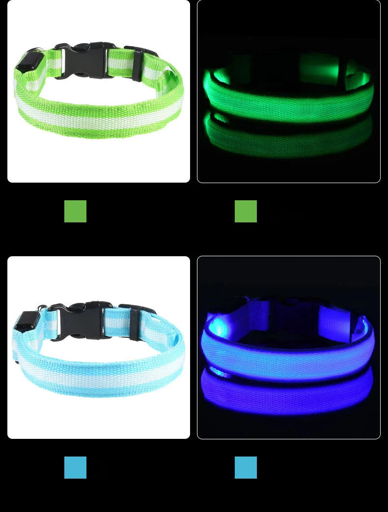 Tailora™ LED Night Safety Glow Leash