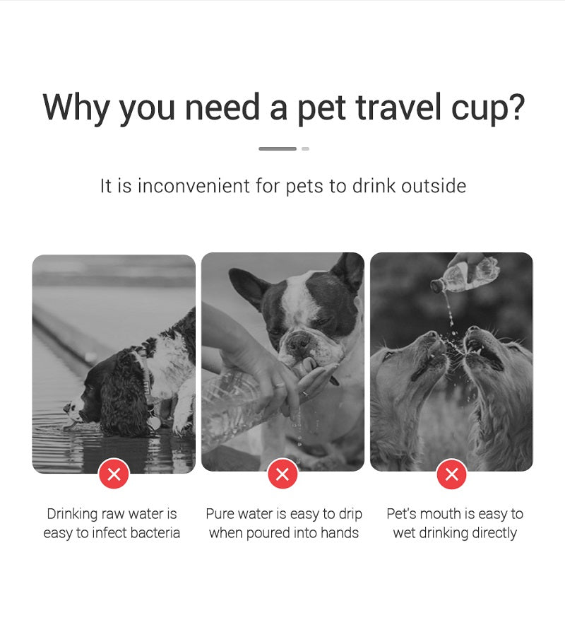 Tailora™ Leak-Proof Travel Water Bottle