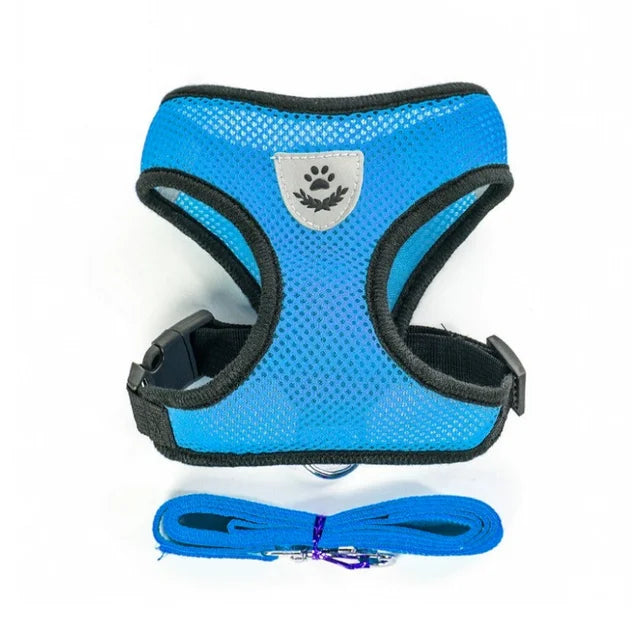 Tailora™ Breathable Mesh Harness & Leash Set