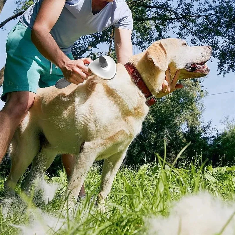 Tailora™ Self-Cleaning Slicker Brush