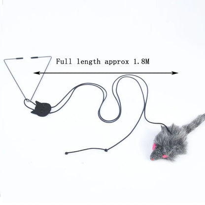 Tailora™ Hanging Door Teaser Toy