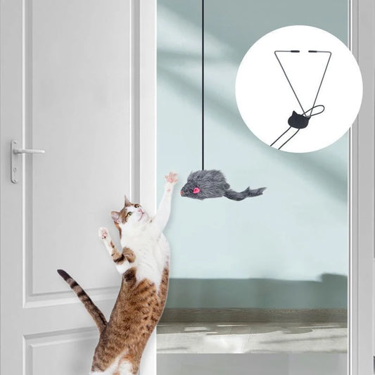Tailora™ Hanging Door Teaser Toy