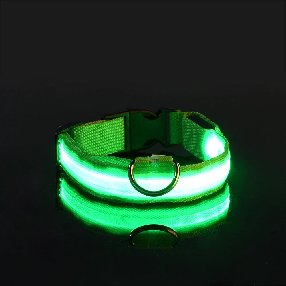 Tailora™ LED Night Safety Glow Leash