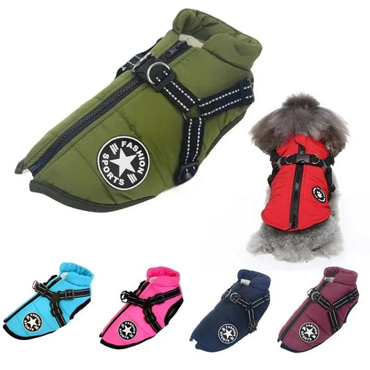 Tailora™ All-in-One Winter Dog Jacket & Harness