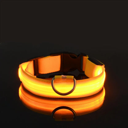 Tailora™ LED Night Safety Glow Leash