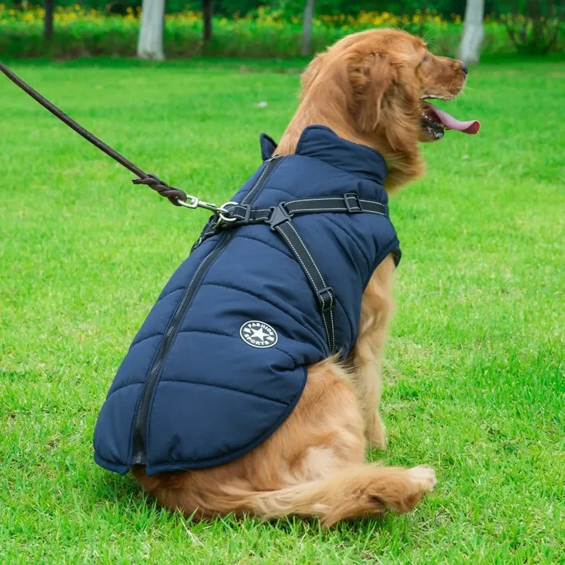 Tailora™ All-in-One Winter Dog Jacket & Harness