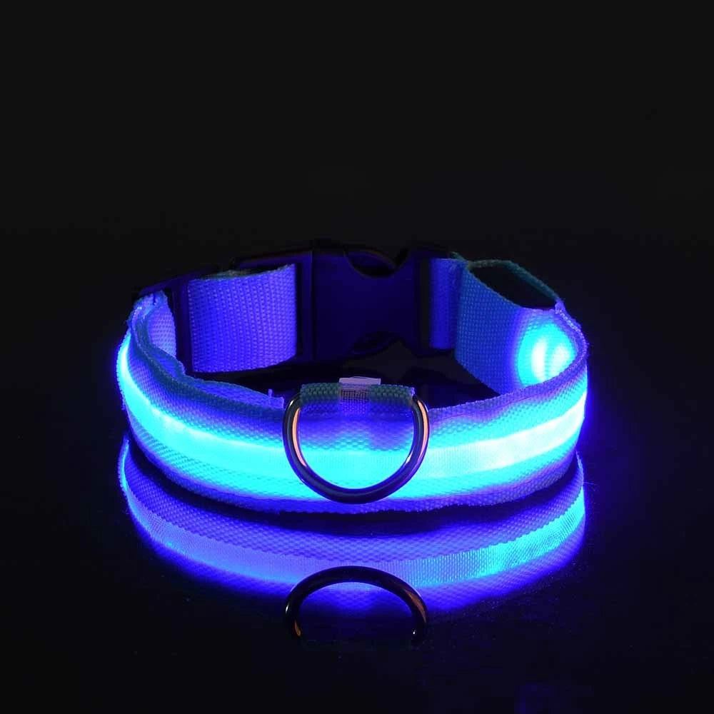 Tailora™ LED Night Safety Glow Leash