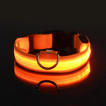 Tailora™ LED Night Safety Glow Leash