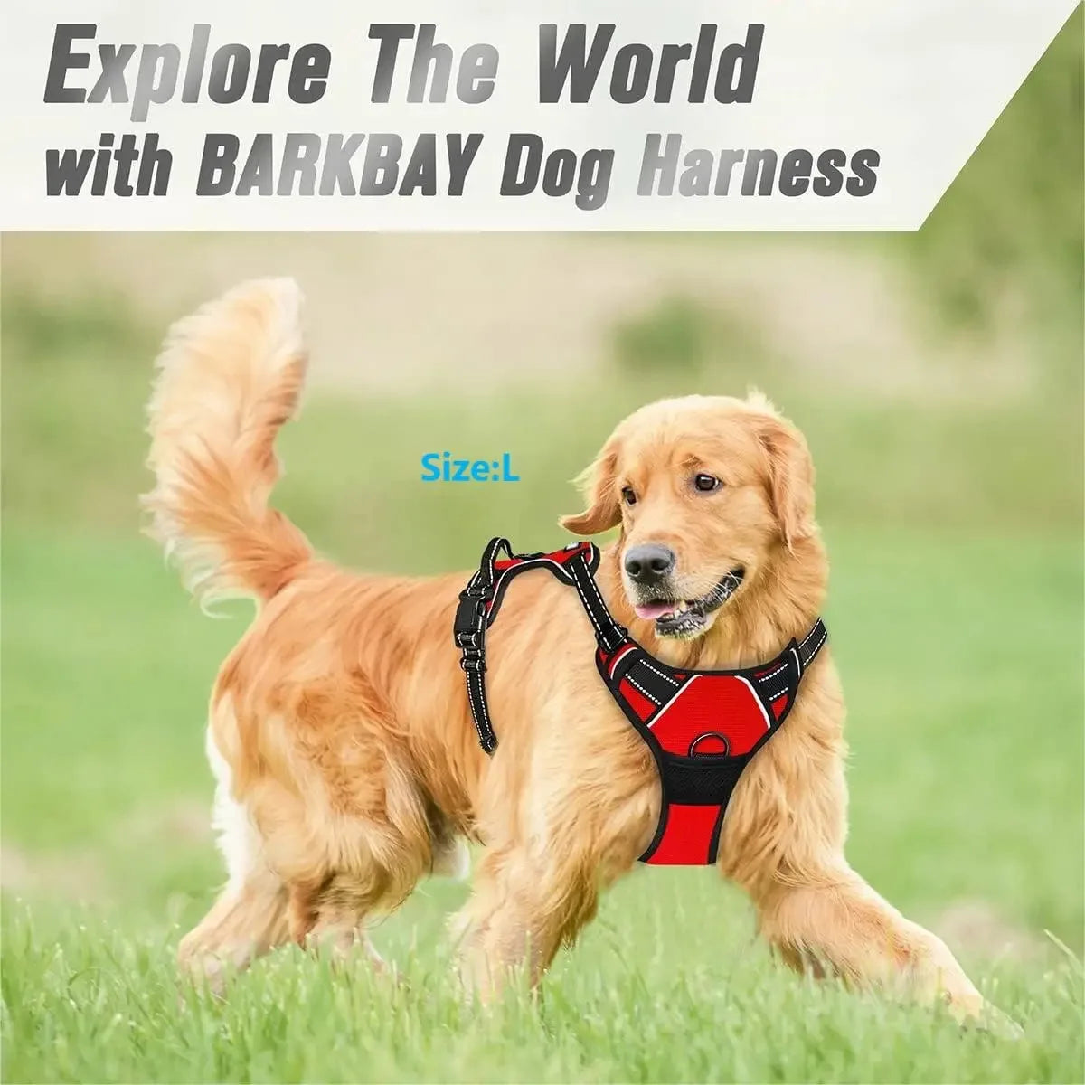 Tailora™ Heavy-Duty No-Pull Dog Harness
