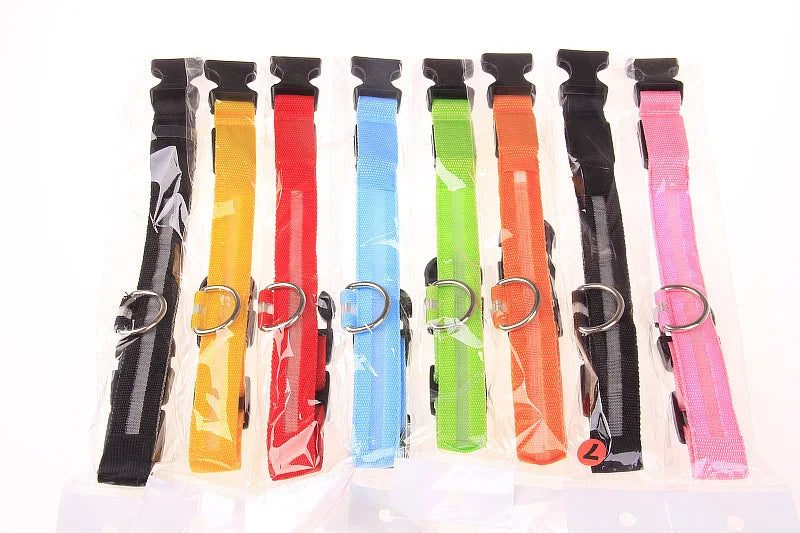 Tailora™ LED Night Safety Glow Leash