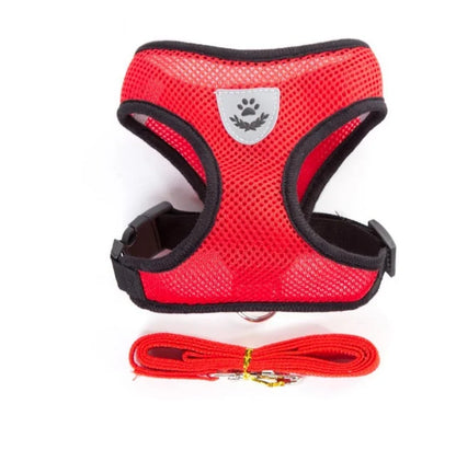 Tailora™ Breathable Mesh Harness & Leash Set