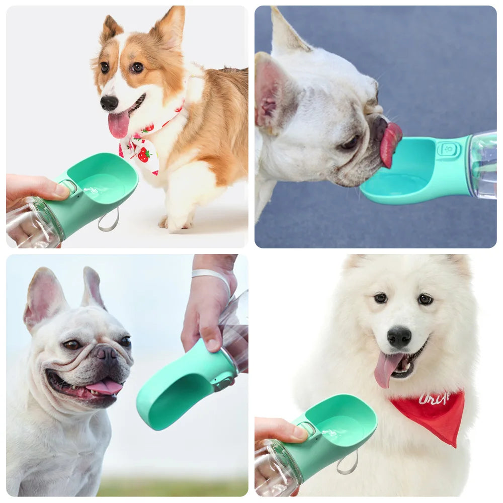 Tailora™ Leak-Proof Travel Water Bottle