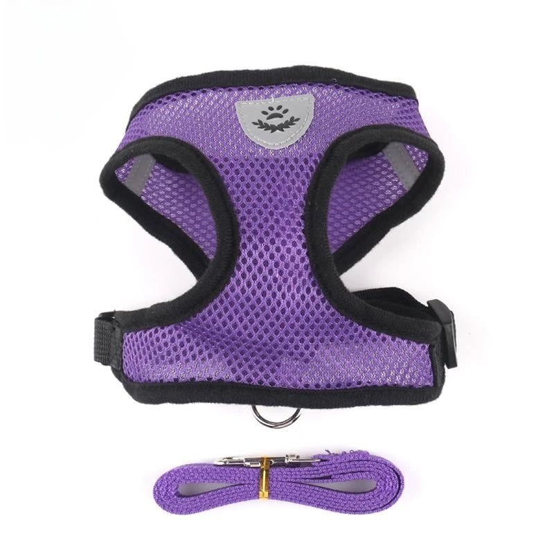 Tailora™ Breathable Mesh Harness & Leash Set