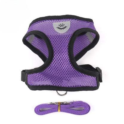 Tailora™ Breathable Mesh Harness & Leash Set