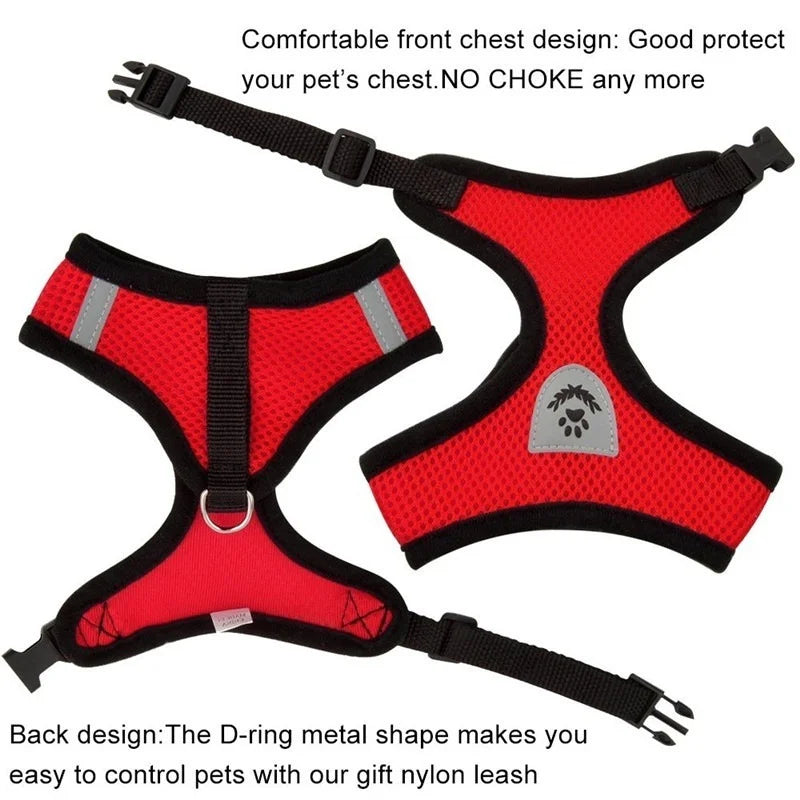 Tailora™ Breathable Mesh Harness & Leash Set