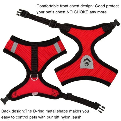 Tailora™ Breathable Mesh Harness & Leash Set