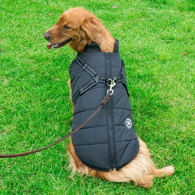 Tailora™ All-in-One Winter Dog Jacket & Harness