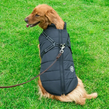 Tailora™ All-in-One Winter Dog Jacket & Harness