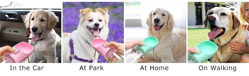 Tailora™ Leak-Proof Travel Water Bottle