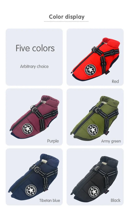 Tailora™ All-in-One Winter Dog Jacket & Harness
