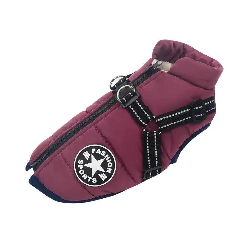 Tailora™ All-in-One Winter Dog Jacket & Harness