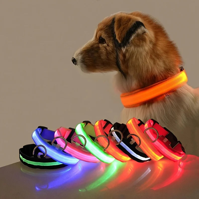 Tailora™ LED Night Safety Glow Leash