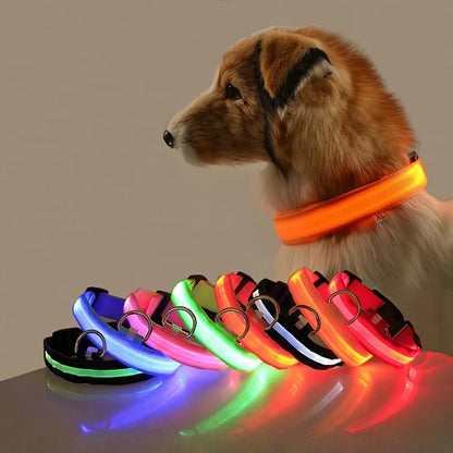 Tailora™ LED Night Safety Glow Leash