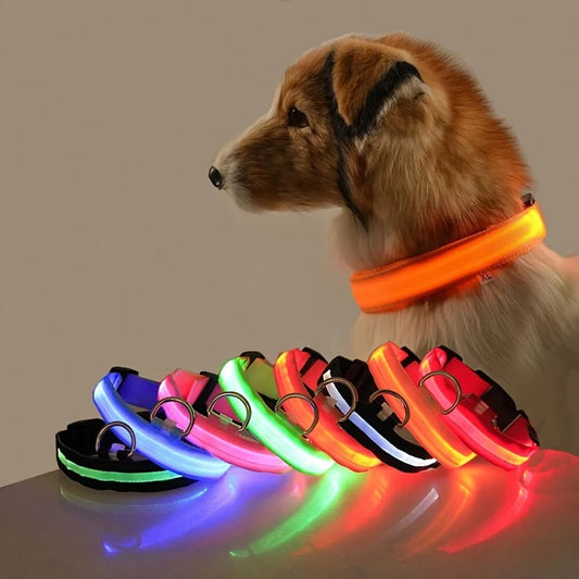 Tailora™ LED Night Safety Glow Leash