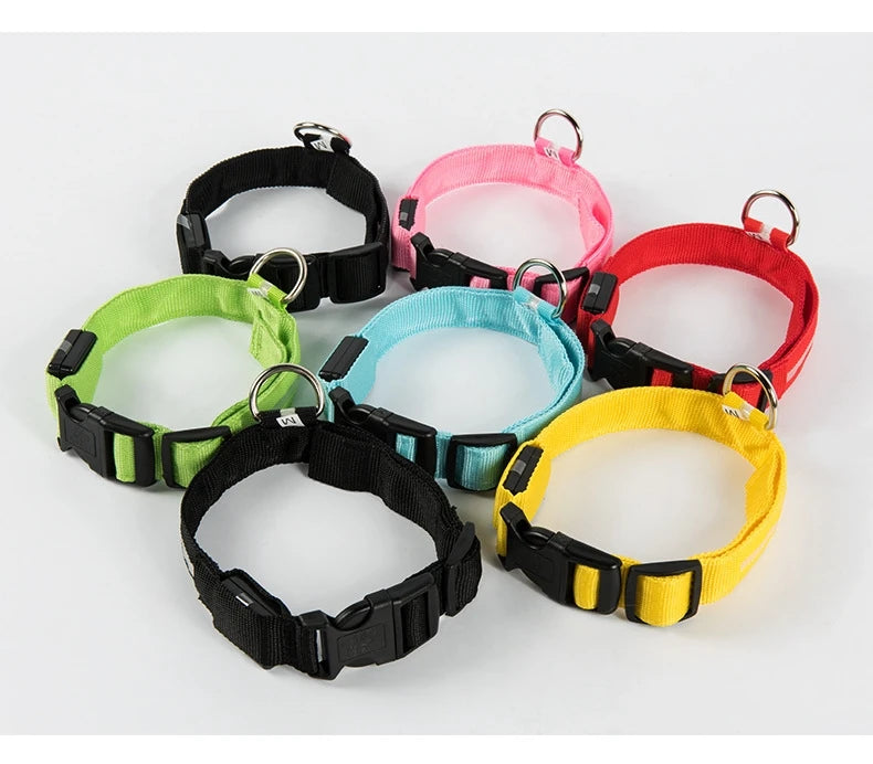 Tailora™ LED Night Safety Glow Leash