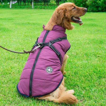 Tailora™ All-in-One Winter Dog Jacket & Harness
