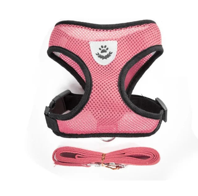 Tailora™ Breathable Mesh Harness & Leash Set