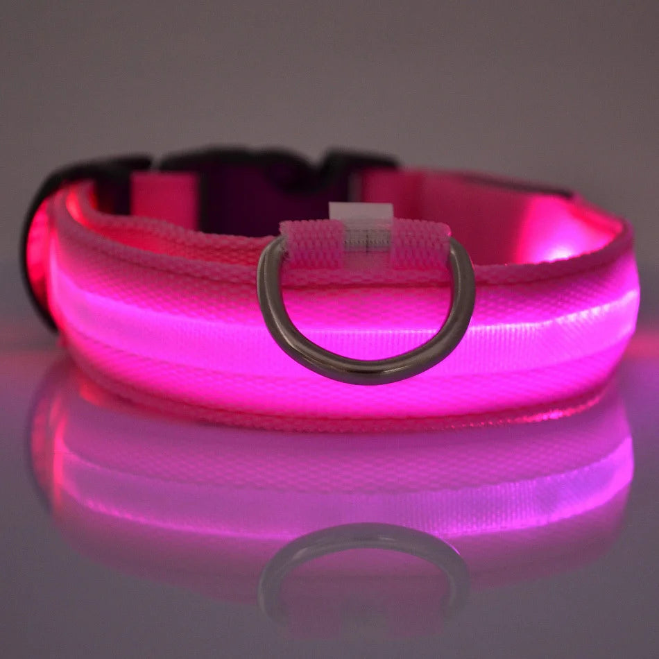 Tailora™ LED Night Safety Glow Leash