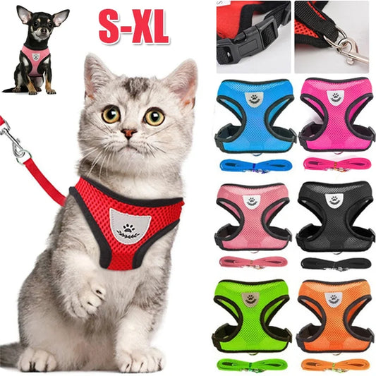 Tailora™ Breathable Mesh Harness & Leash Set