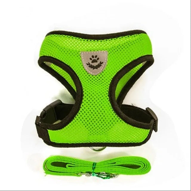Tailora™ Breathable Mesh Harness & Leash Set