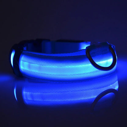 Tailora™ LED Night Safety Glow Leash