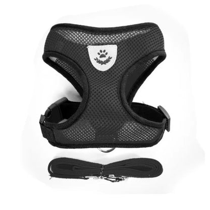 Tailora™ Breathable Mesh Harness & Leash Set