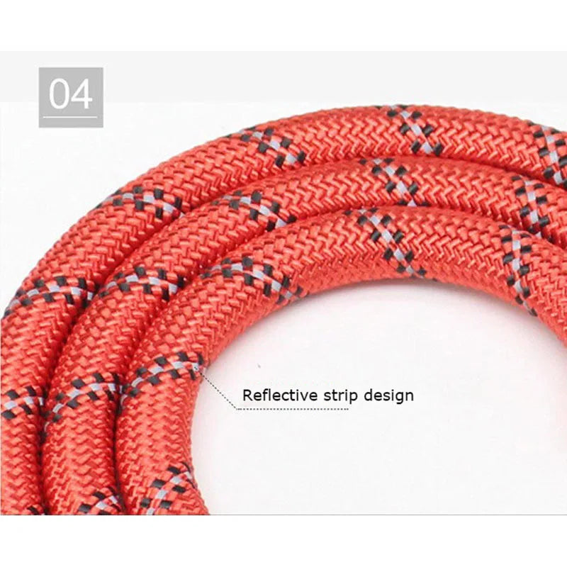 Tailora™ Heavy-Duty Padded Handle Reflective Dog Leash
