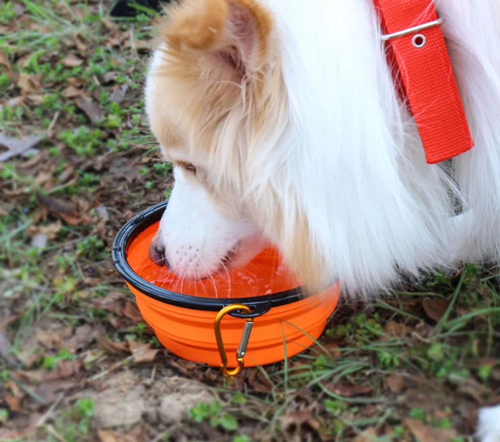Tailora™ Collapsible Silicone Travel Bowl