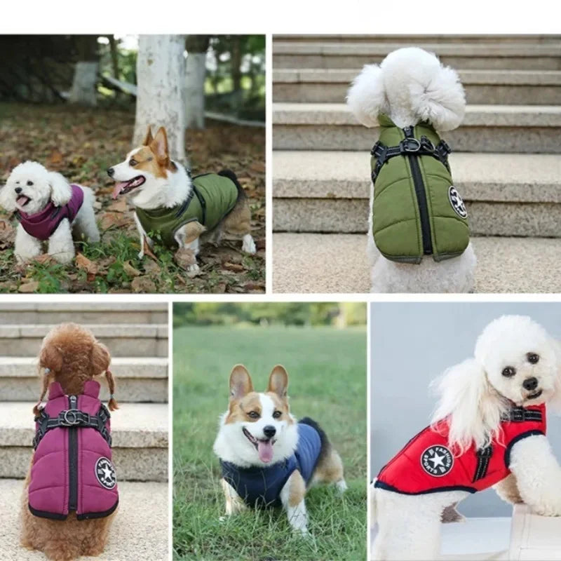 Tailora™ All-in-One Winter Dog Jacket & Harness