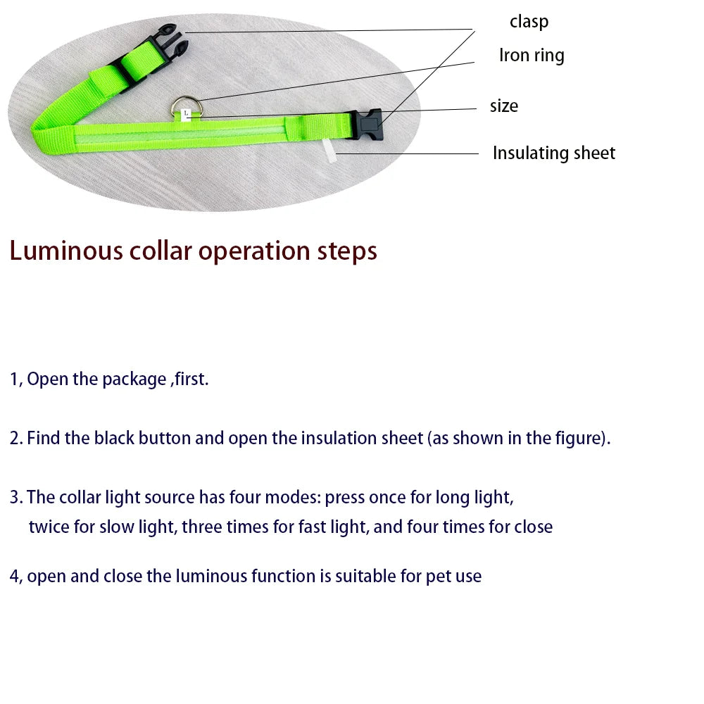 Tailora™ LED Night Safety Glow Leash