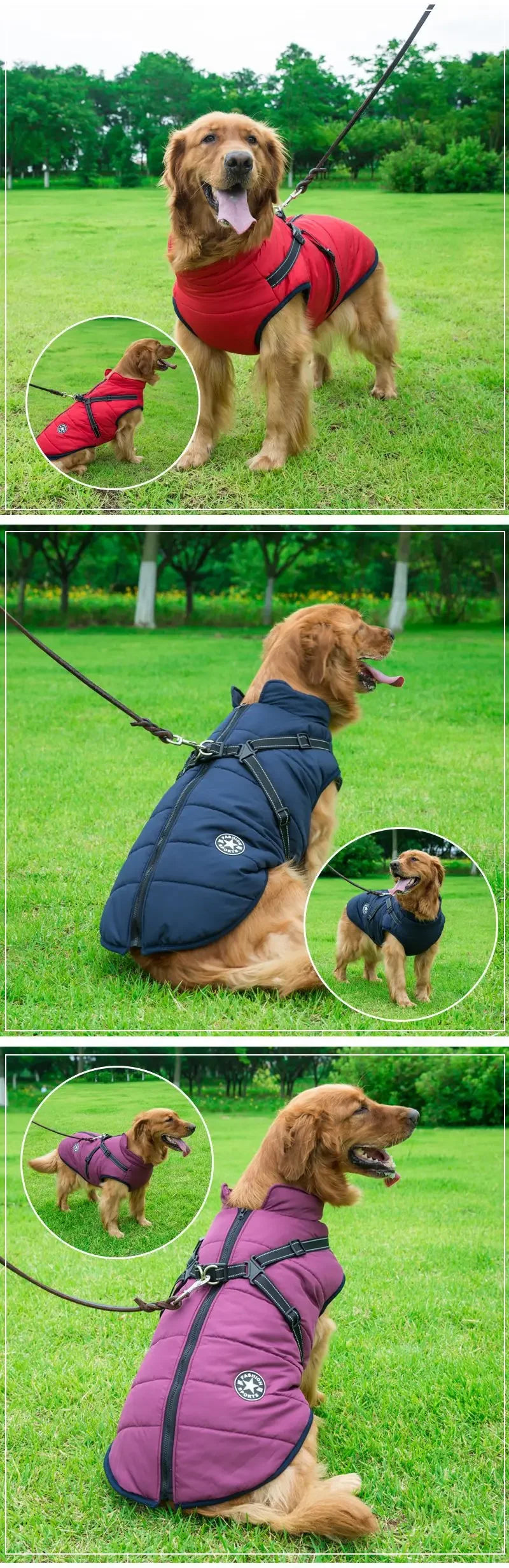 Tailora™ All-in-One Winter Dog Jacket & Harness
