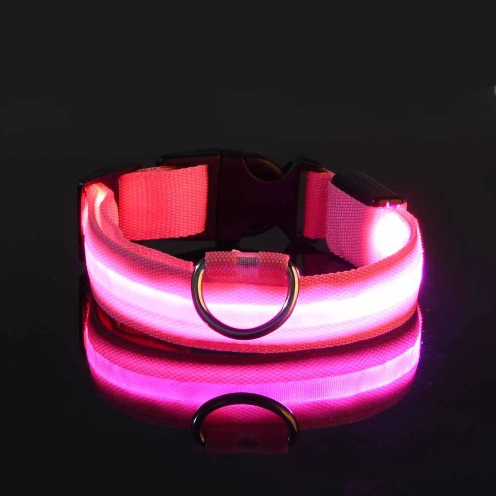 Tailora™ LED Night Safety Glow Leash