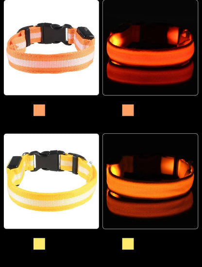 Tailora™ LED Night Safety Glow Leash